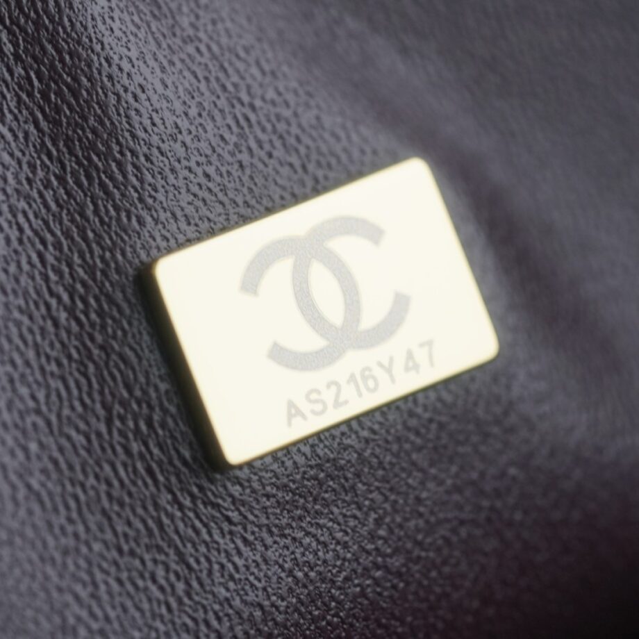 Chanel Limited Edition Badge 2.55 Handbag