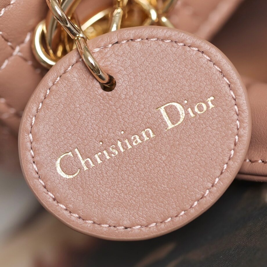 Dior S0856 Pink Lady Dior Micro Bag