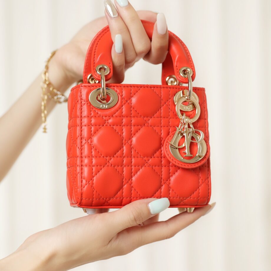 Dior S0856 Orange Lady Dior Micro Bag