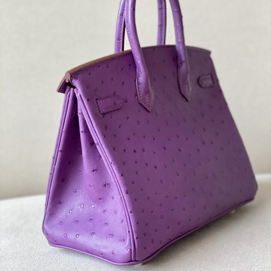 HermèS Birkin25 Purple Handmade Ostrich Skin Birkin 25cm