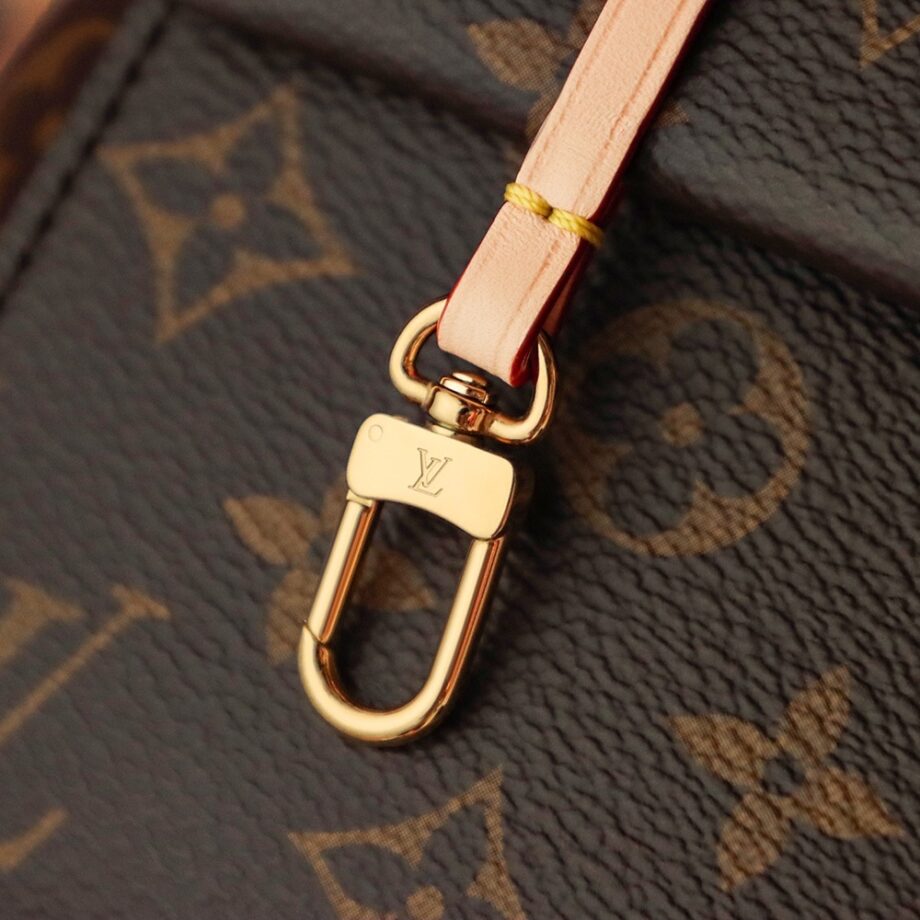 Louis Vuitton M46055 Cluny Mini Bag