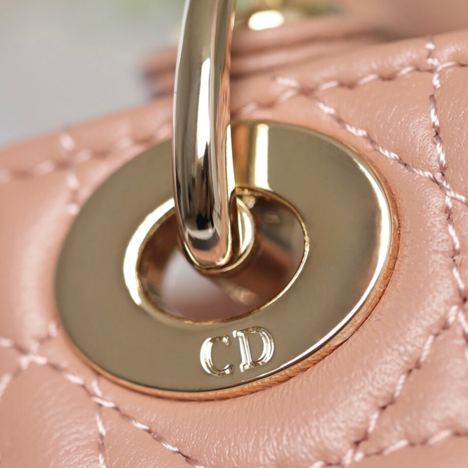 Dior S0856 Pink Lady Dior Micro Bag