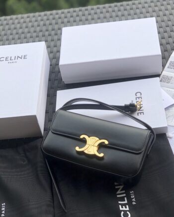 celine triomphe shiny cow leather backpack