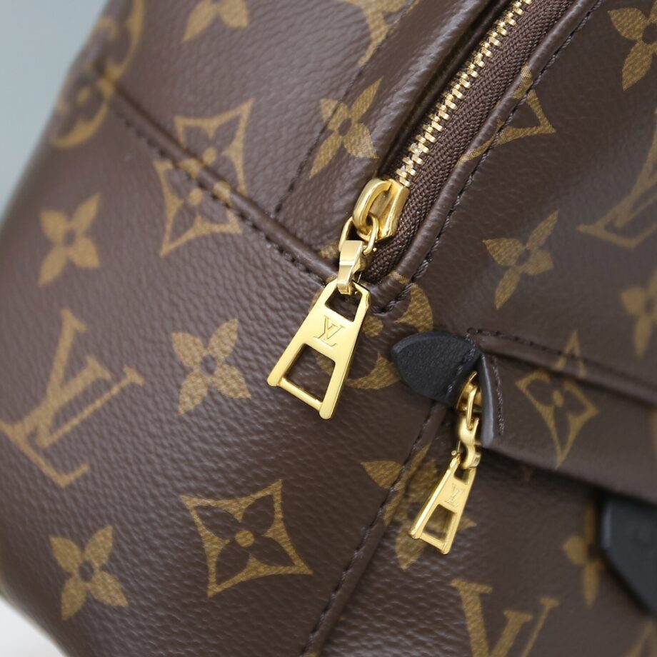 Louis Vuitton M44873 Palm Springs Mini Backpack