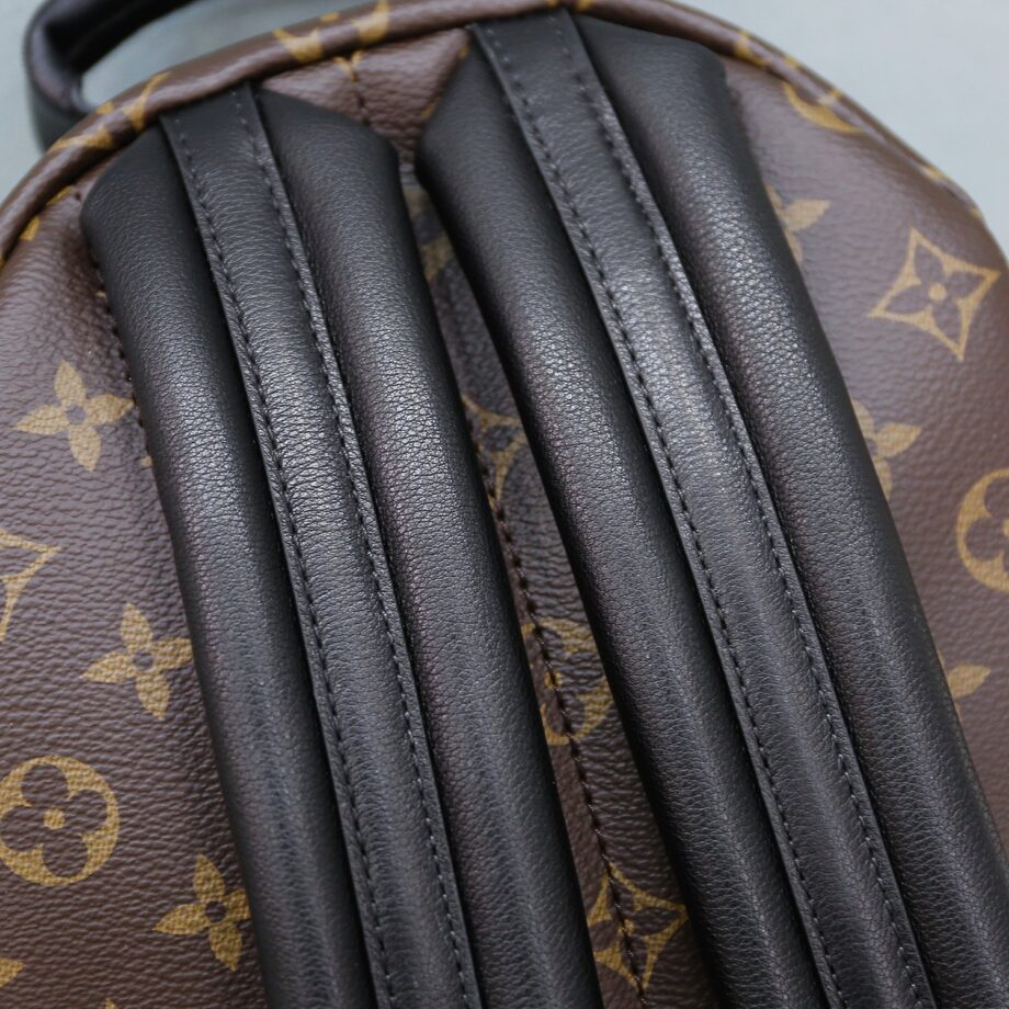 Louis Vuitton M44871 Palm Springs Pm