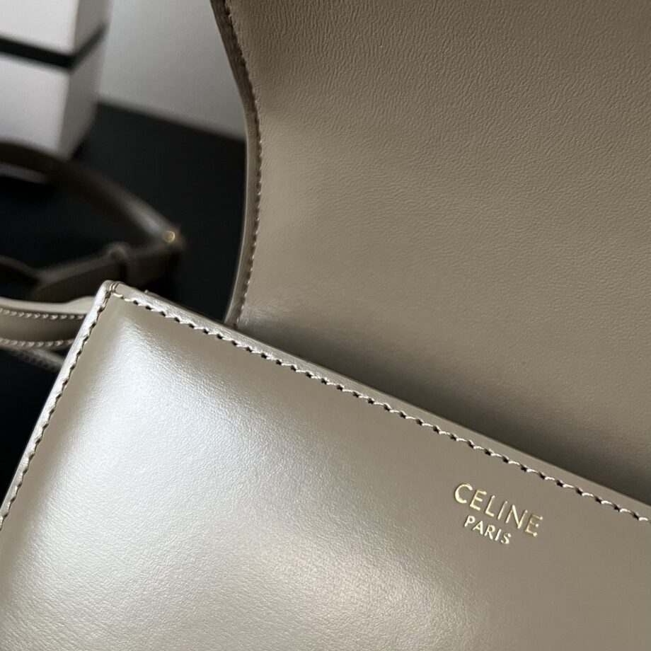 Celine Triomphe Bag