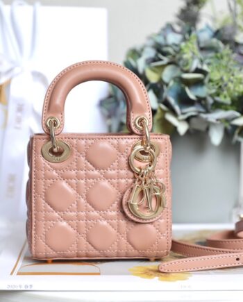 Dior S0856 Pink Lady Dior Micro Bag