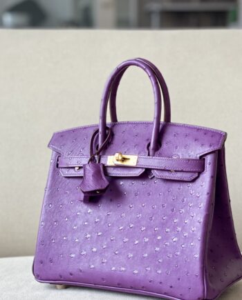 HermèS Birkin25 Purple Handmade Ostrich Skin Birkin 25cm