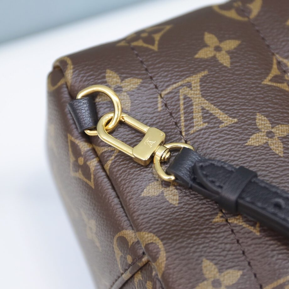 Louis Vuitton M44873 Palm Springs Mini Backpack