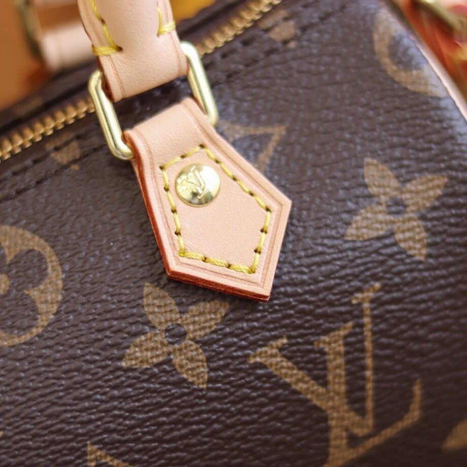 Louis Vuitton M61252 Nano Speedy Handbag