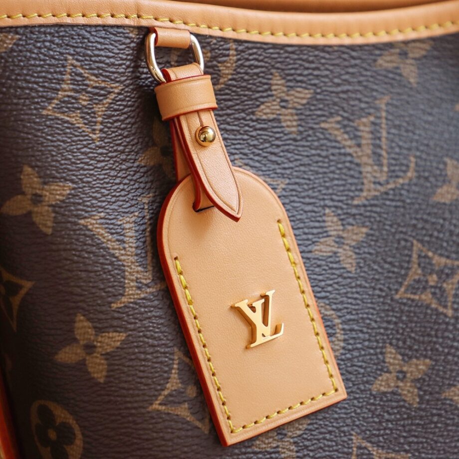 Louis Vuitton CarryAll Medium Tote Bag