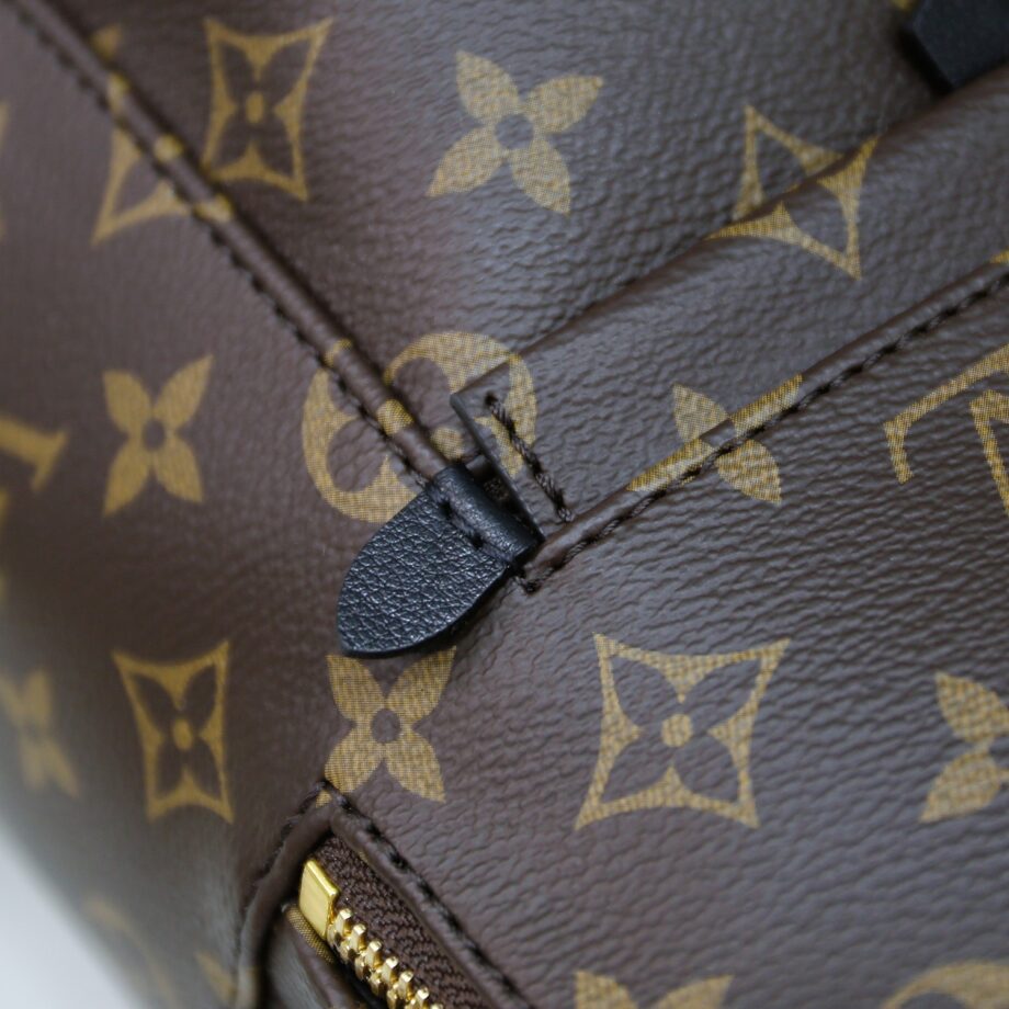 Louis Vuitton M44871 Palm Springs Pm