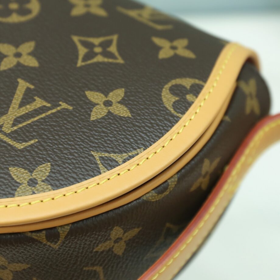 Louis Vuitton M44860 Tambourin Bag