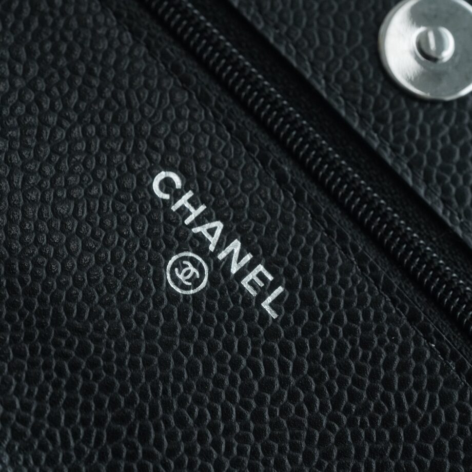 Chanel Silver Hardware Wallet On Chain