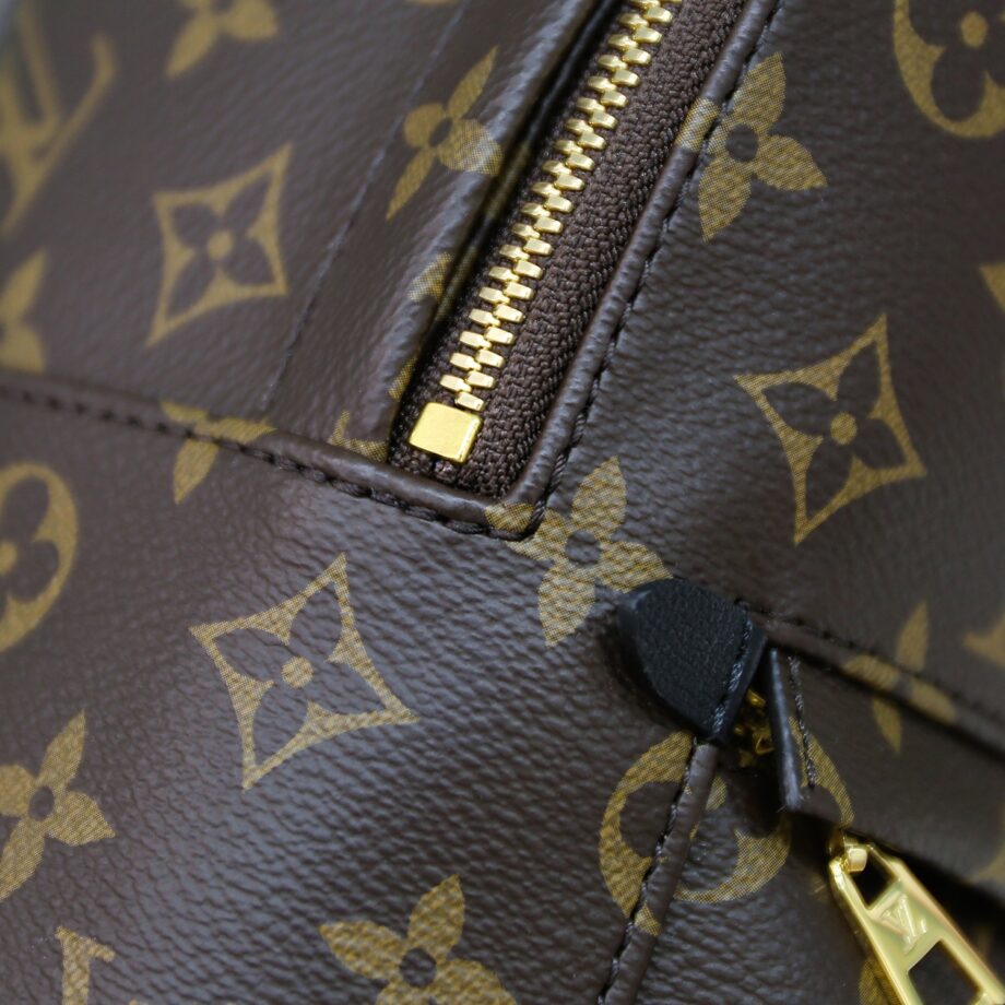 Louis Vuitton M44871 Palm Springs Pm