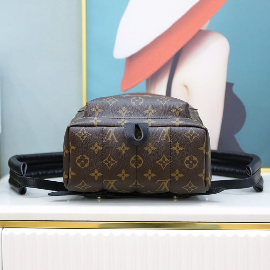 Louis Vuitton M44871 Palm Springs Pm