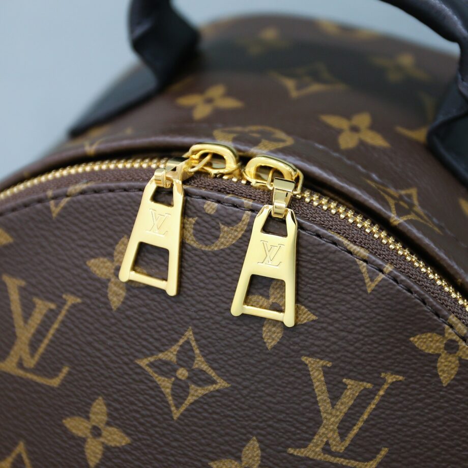 Louis Vuitton M44871 Palm Springs Pm