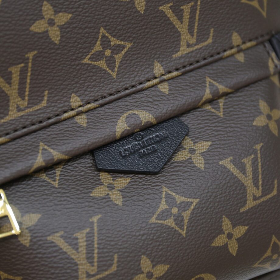 Louis Vuitton M44871 Palm Springs Pm